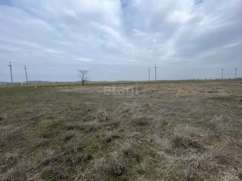 Участок в Крым, Ленинский район, Калиновское с/пос, Седой Азов ТСН 460 ... - Фото 2