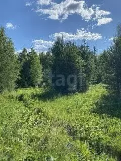 Участок в Костромская область, Костромской район, Кузьмищенское с/пос, ... - Фото 0