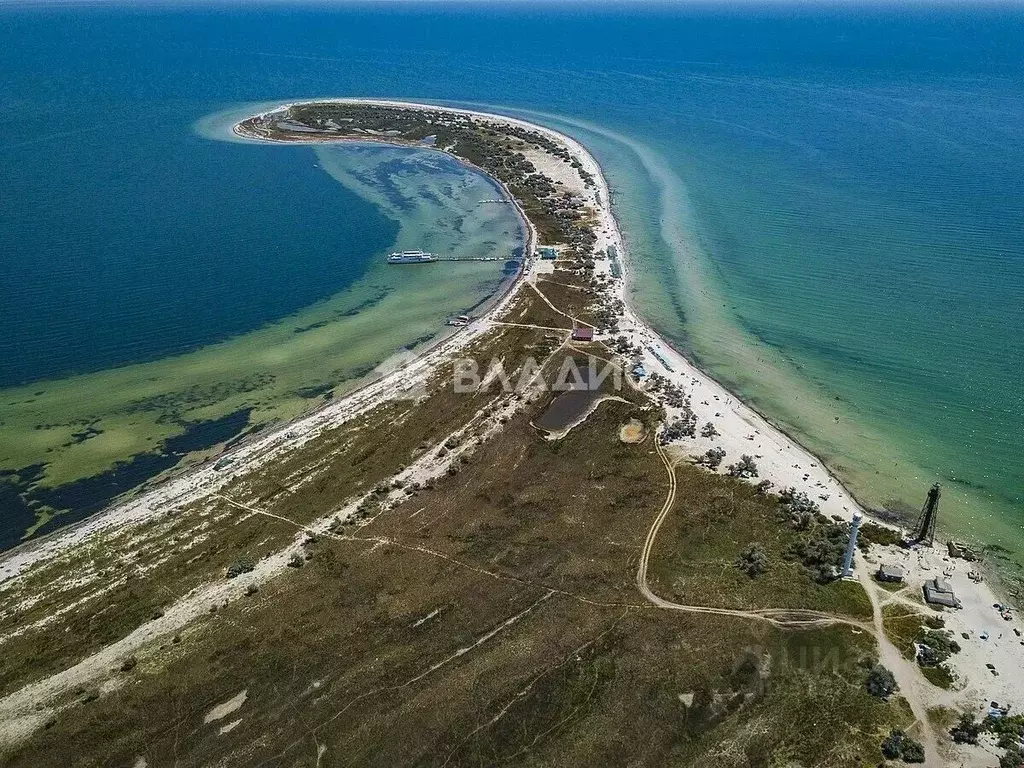 Участок в Крым, Черноморский район, с. Межводное проезд Керченский ... - Фото 0