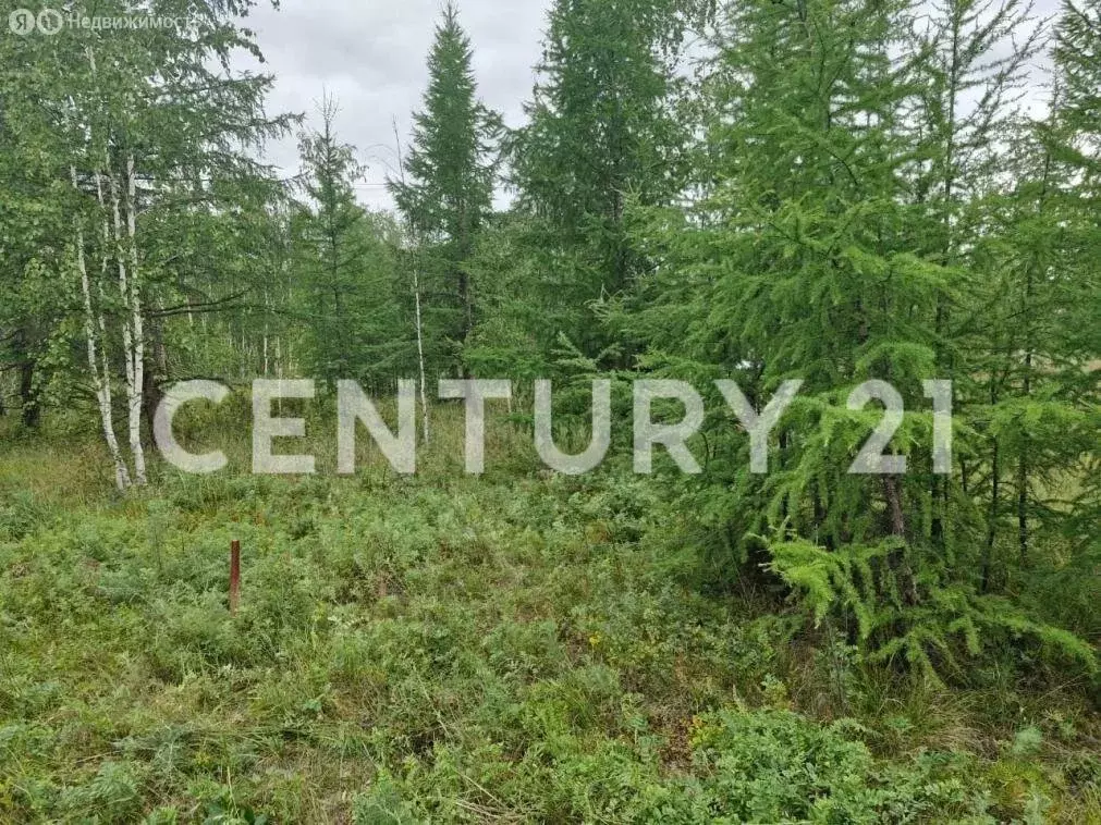 Участок в Республика Саха (Якутия), городской округ Якутск, село Маган ... - Фото 2