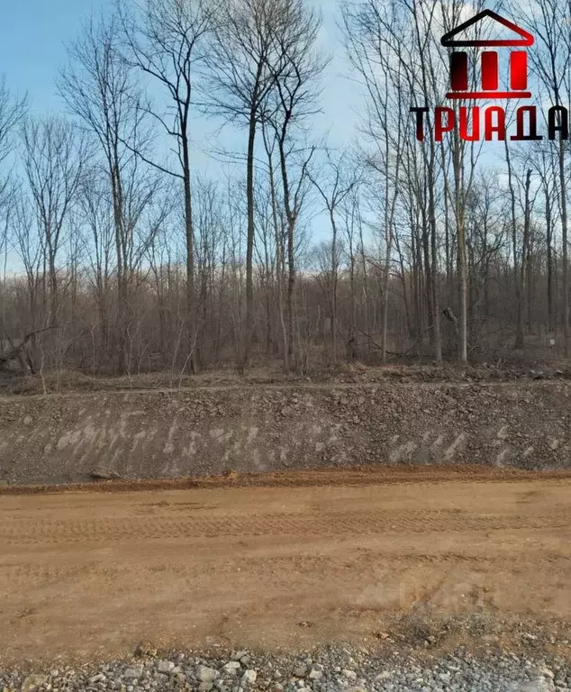 Участок в Приморский край, Надеждинский район, с. Кипарисово Горная ... - Фото 1