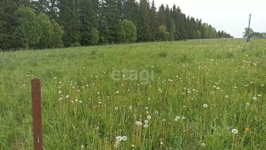 Участок в Калужская область, Совхоз Боровский с/пос, д. Тимашово  ... - Фото 0