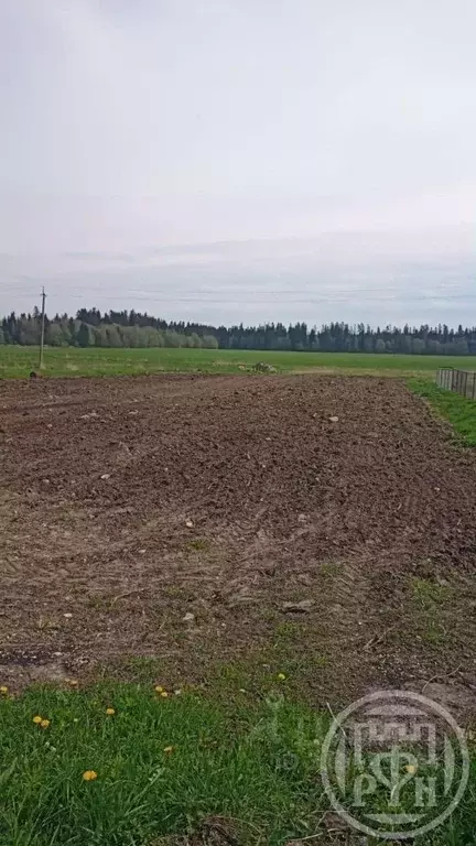 Участок в Ленинградская область, Гатчинский район, д. Малое Ондрово 8 ... - Фото 1