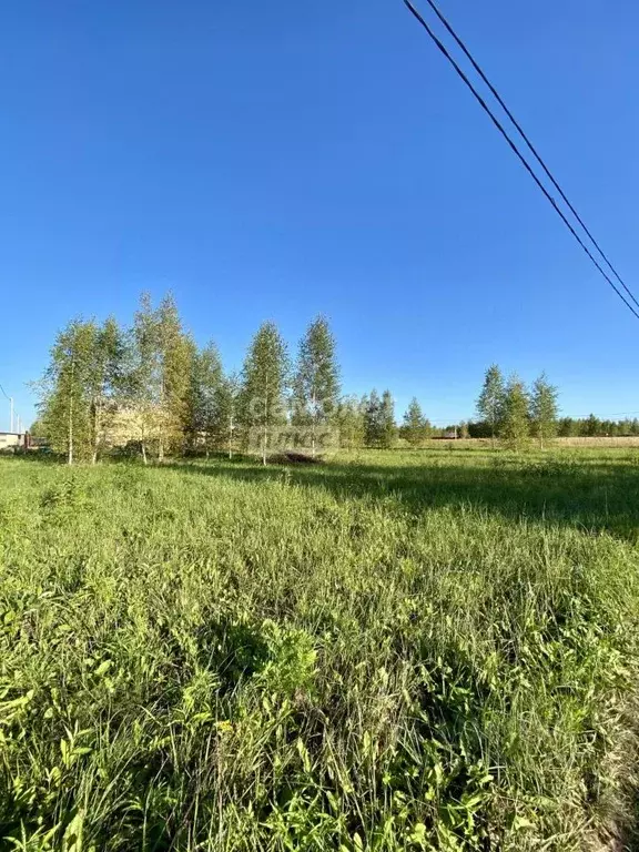 Участок в Марий Эл, Йошкар-Ола городской округ, д. Шоя-Кузнецово ул. ... - Фото 1