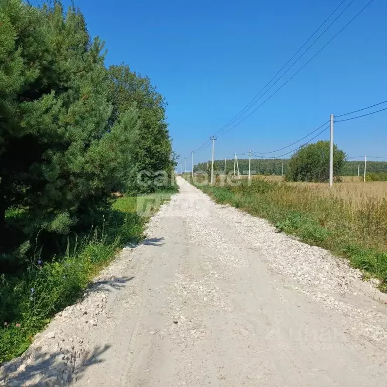 Участок в Московская область, Коломна городской округ, д. Шапкино  ... - Фото 1