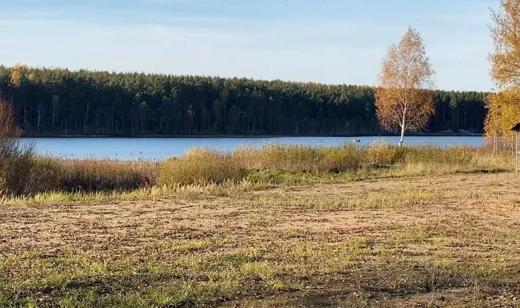 Участок в Псковская область, Печорский муниципальный округ, Лесицкое ... - Фото 1