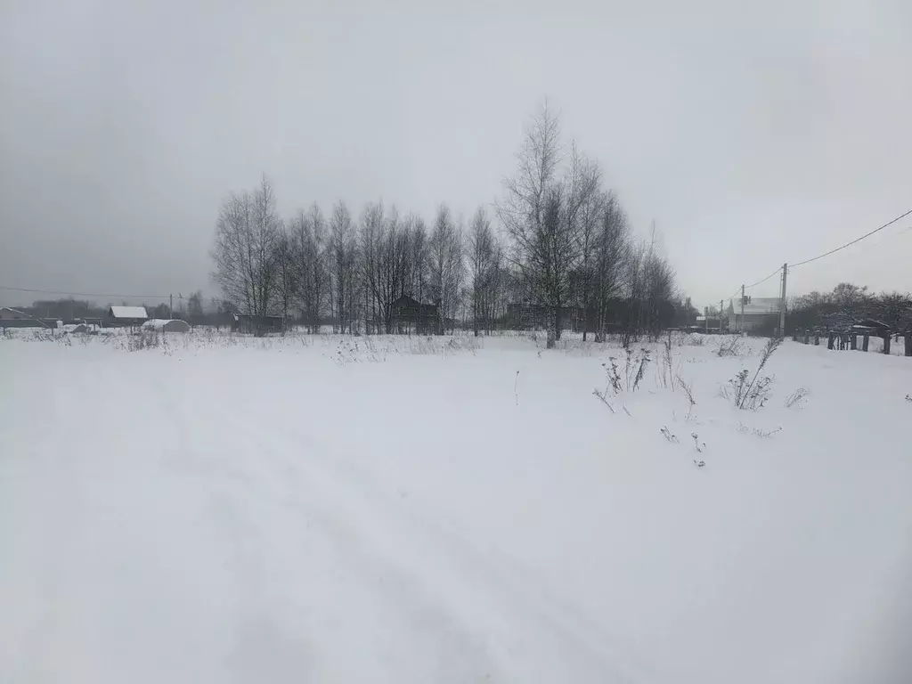 Участок в Московская область, Богородский городской округ, д. Большое ... - Фото 2