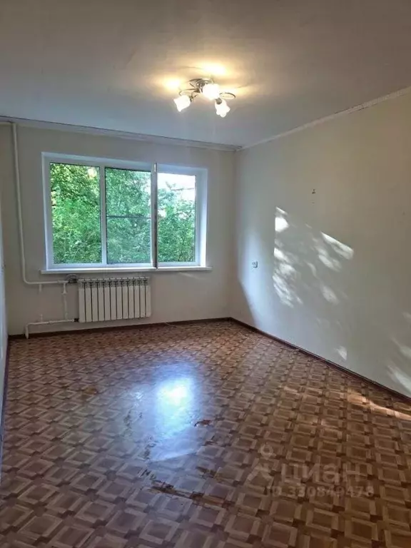 1-к кв. Нижегородская область, Бор ул. Мира, 32 (32.0 м) - Фото 1