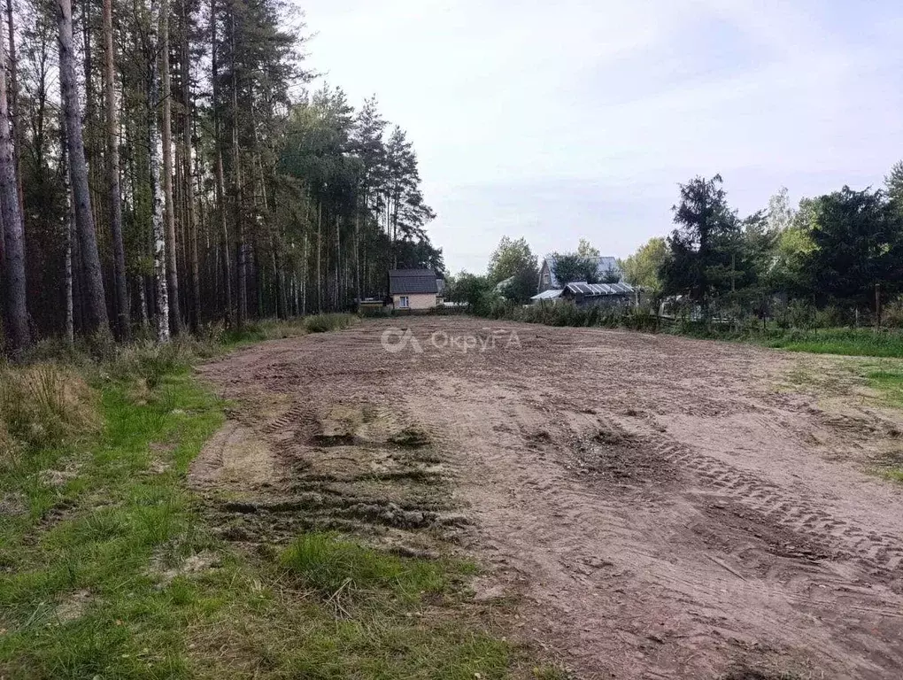 Участок, 10.7 сот., сельхоз (снт или днп) - Фото 2