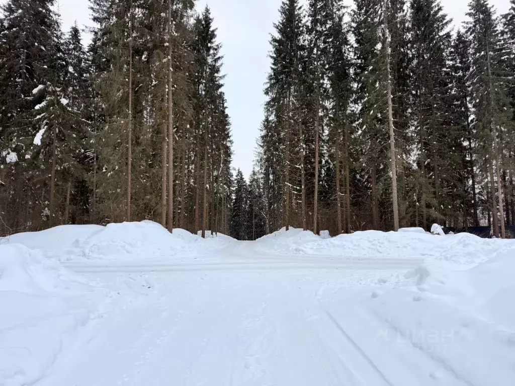 Участок в Московская область, Одинцовский городской округ, Рига лес кп ... - Фото 1