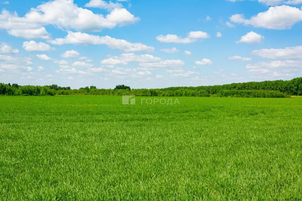 Участок в Новосибирская область, Новосибирский район, с. Криводановка, ... - Фото 0
