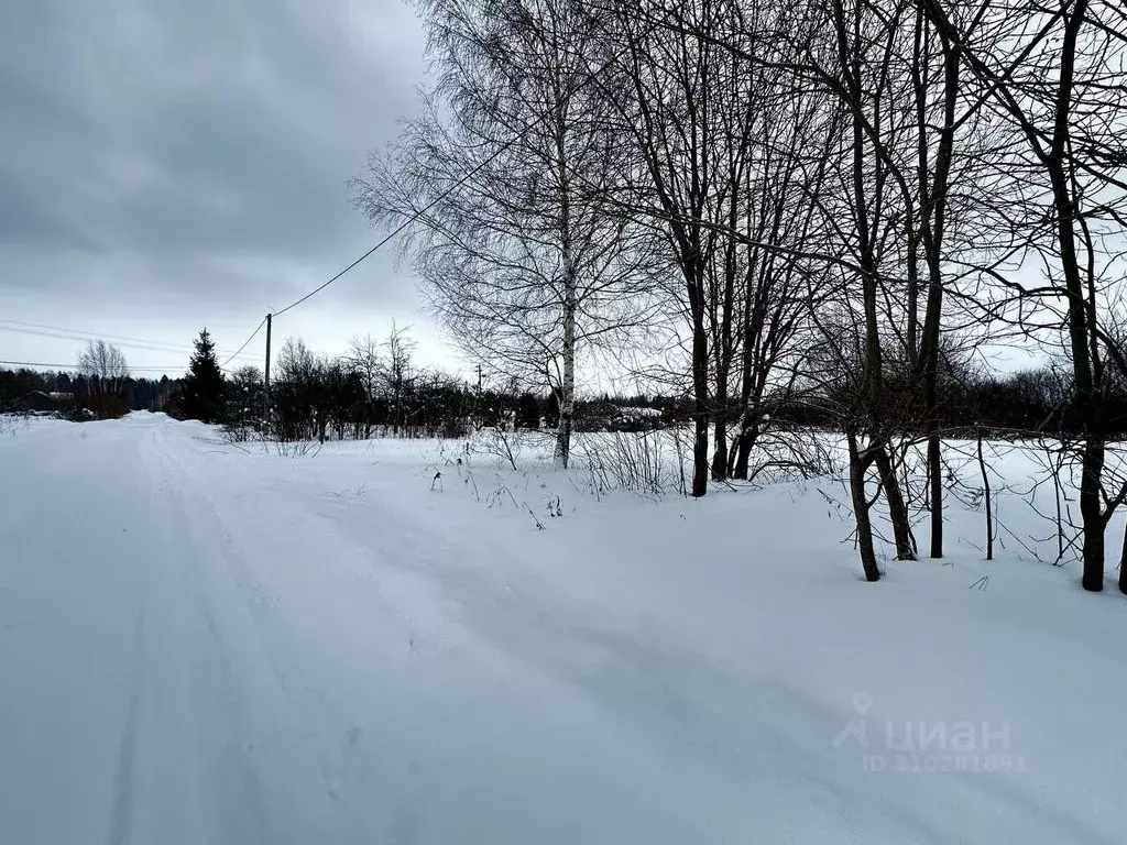 Участок в Ярославская область, Переславль-Залесский муниципальный ... - Фото 0