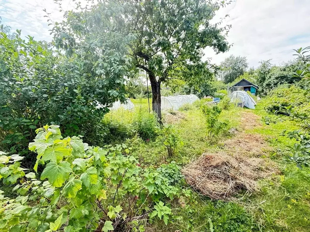 Дом в Вологодская область, Сокол Садовод-1 СТ,  (20 м) - Фото 1