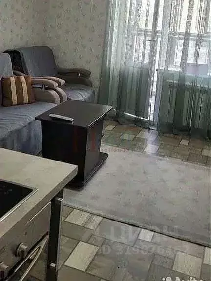 1-к кв. Новосибирская область, Новосибирск ул. Писарева, 125 (30.0 м) - Фото 1