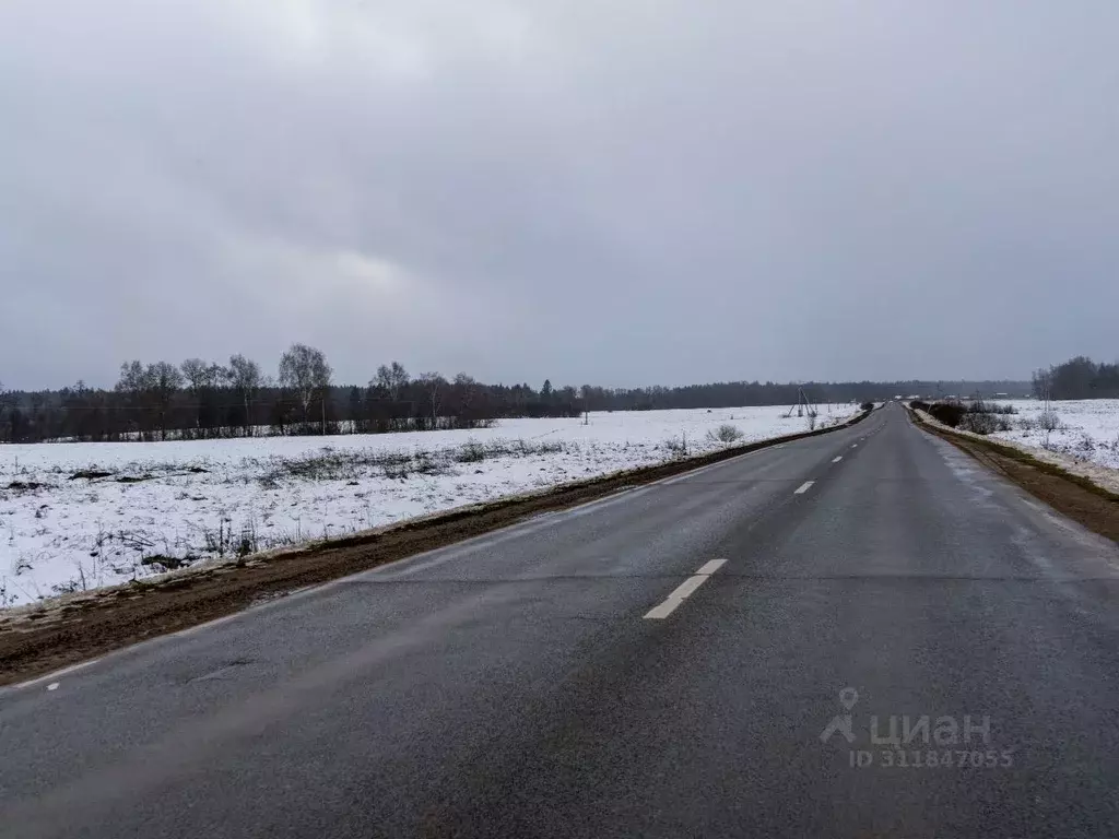 Участок в Московская область, Шаховская городской округ, с. Белая ... - Фото 0