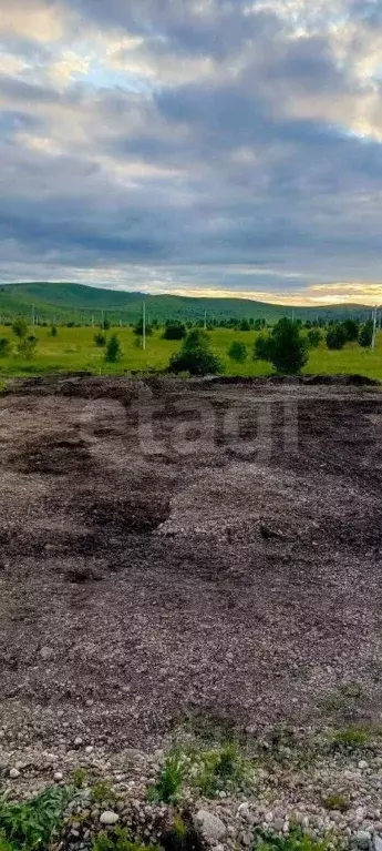 Участок в Алтай, Майминский район, с. Подгорное ул. Катунская (7.5 ... - Фото 1