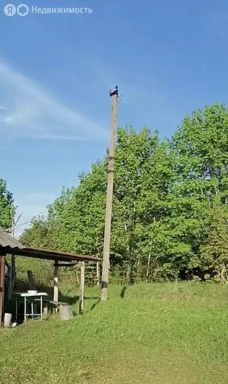 Участок в Пустошкинский район, Забельская волость, деревня Анушиха (16 ... - Фото 2