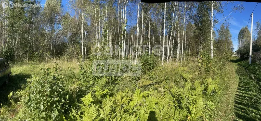 Участок в посёлок городского типа Черусти, Новая улица (10 м) - Фото 2