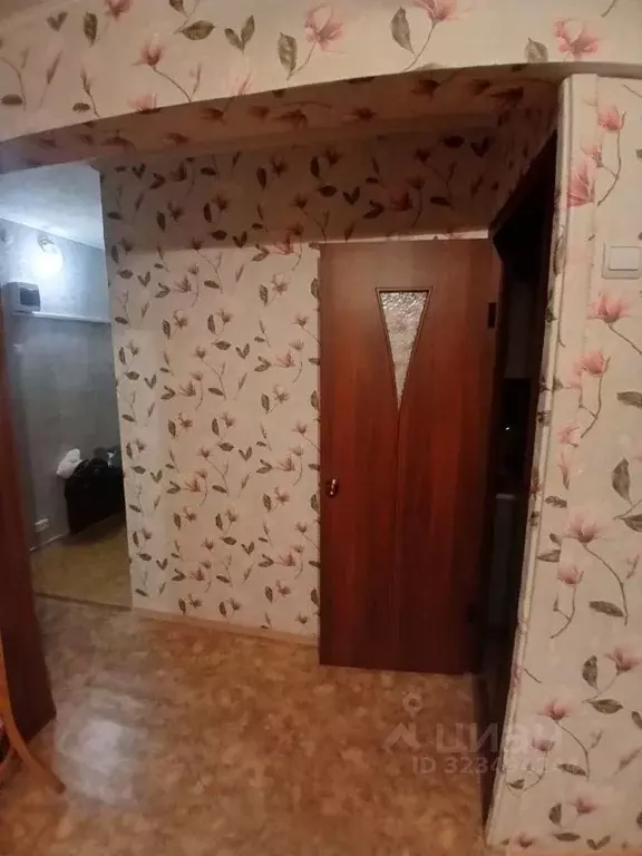 1-к кв. Красноярский край, Зеленогорск ул. Мира, 18 (30.9 м) - Фото 2