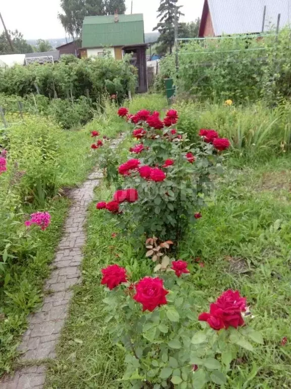 Дом в Новосибирская область, Новосибирск Золотая Горка СНТ, аллея Г ... - Фото 2