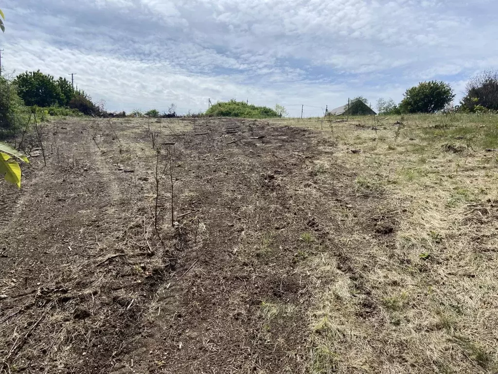 Участок в Крым, Симферопольский район, с. Мазанка ул. Садовая, 407 ... - Фото 2