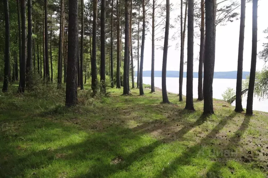 Участок в Иркутская область, Иркутский муниципальный округ, д. ... - Фото 1
