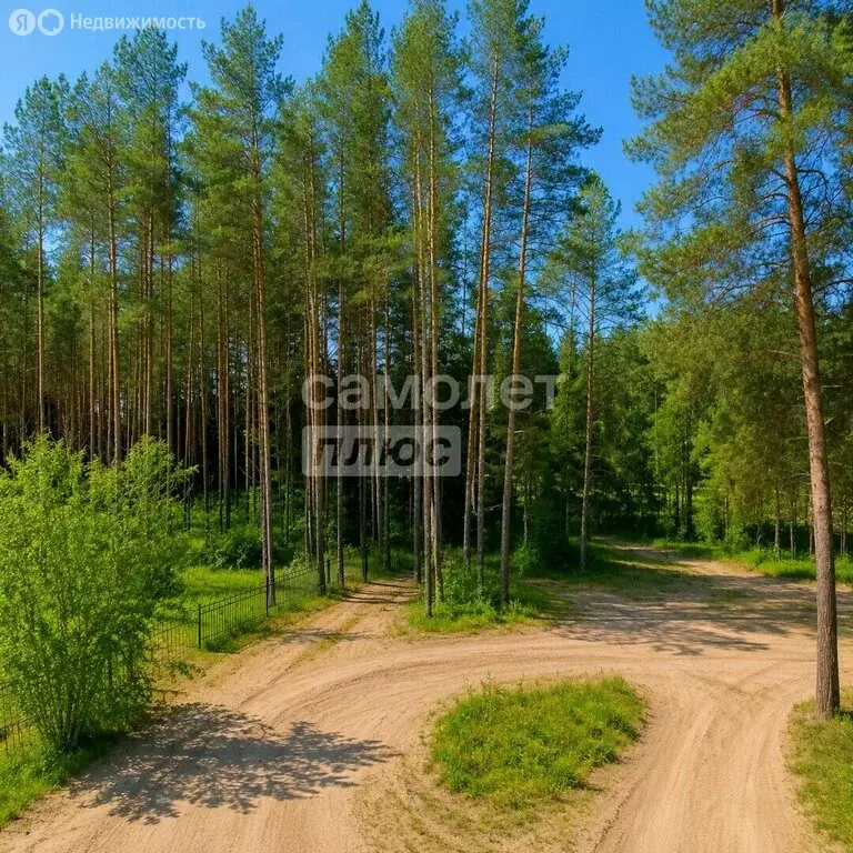 1-комнатная квартира: посёлок Колос, 6 (33.3 м) - Фото 2