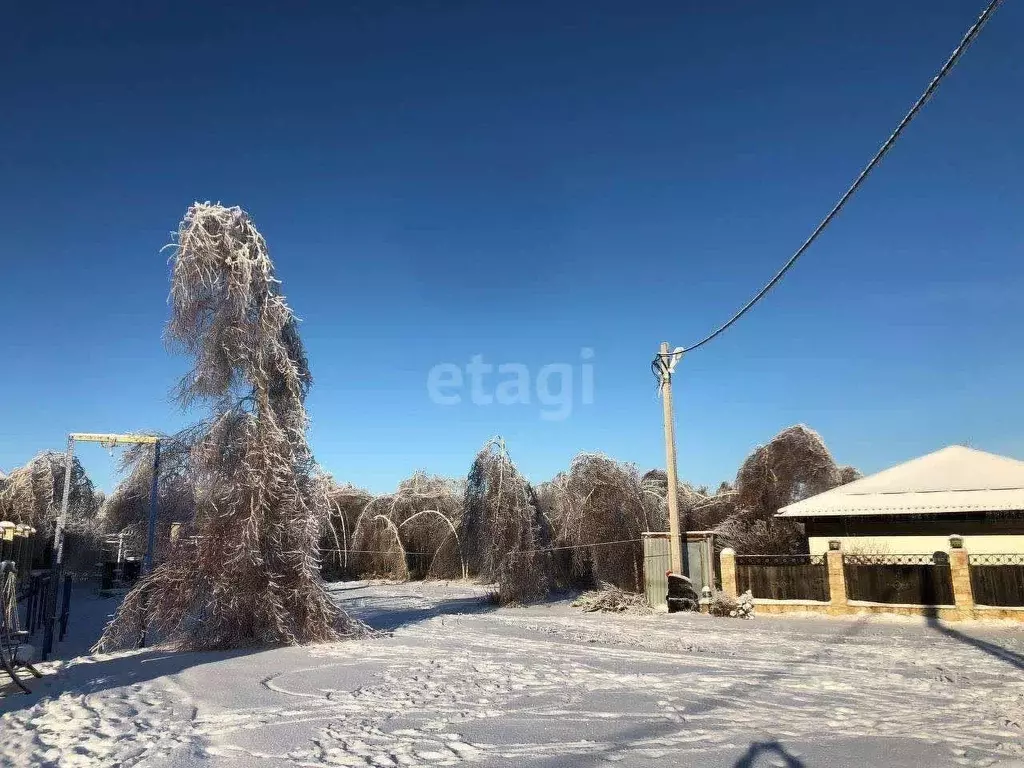 Участок в Нижегородская область, Кстовский муниципальный округ, с. ... - Фото 0