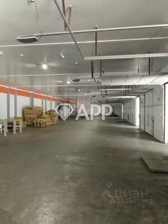 Склад в Краснодарский край, Новороссийск Цемдолина тер., ул. Золотая ... - Фото 1