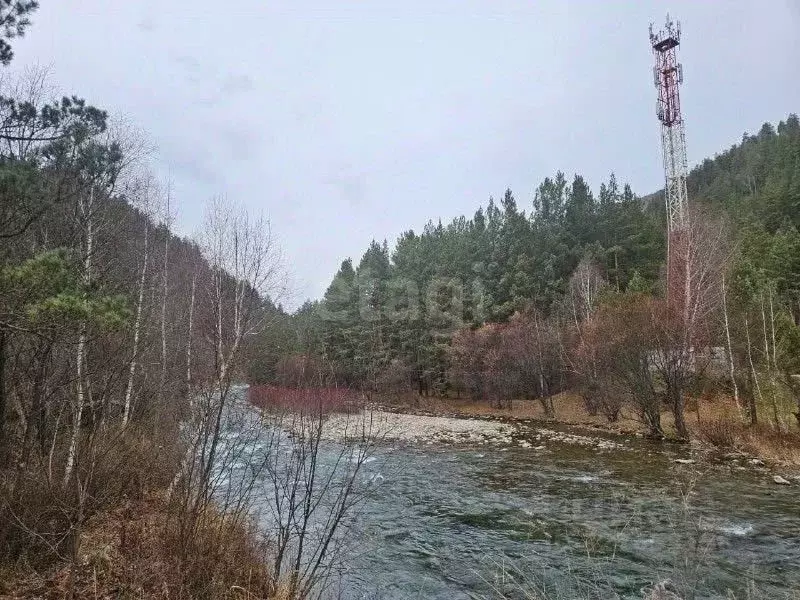 Участок в Алтай, Чемальский район, с. Чемал  (38.78 сот.) - Фото 1