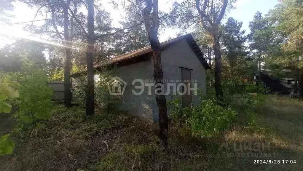 Дом в Волгоградская область, Волгоград Лесомелиоративная ул., 244 (50 ... - Фото 1