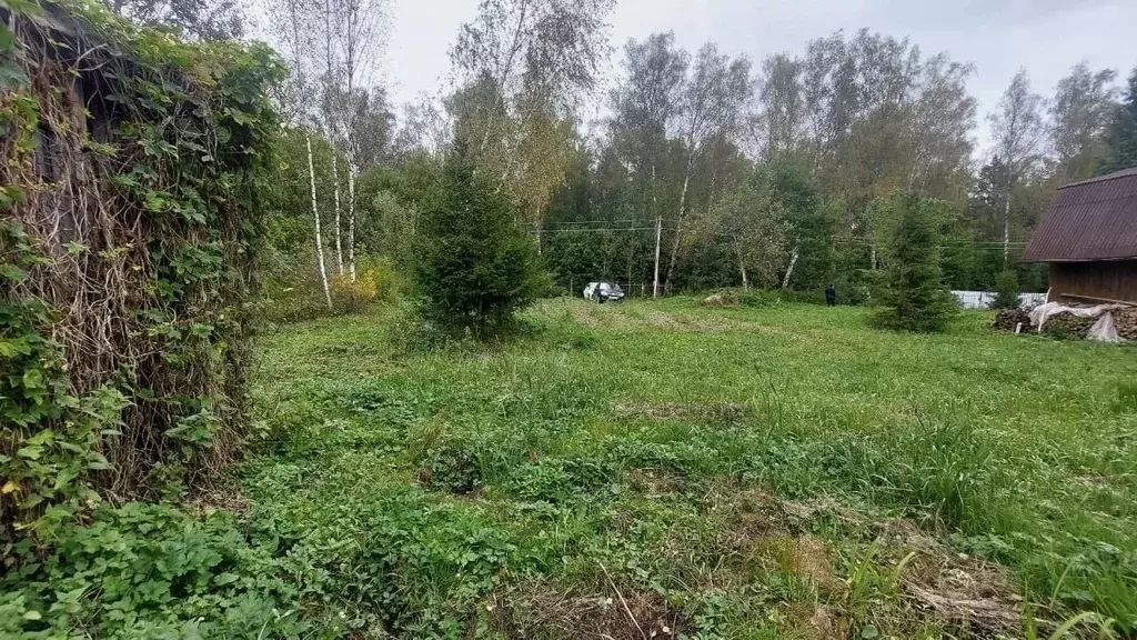 Участок в Владимирская область, Александровский муниципальный округ, ... - Фото 2