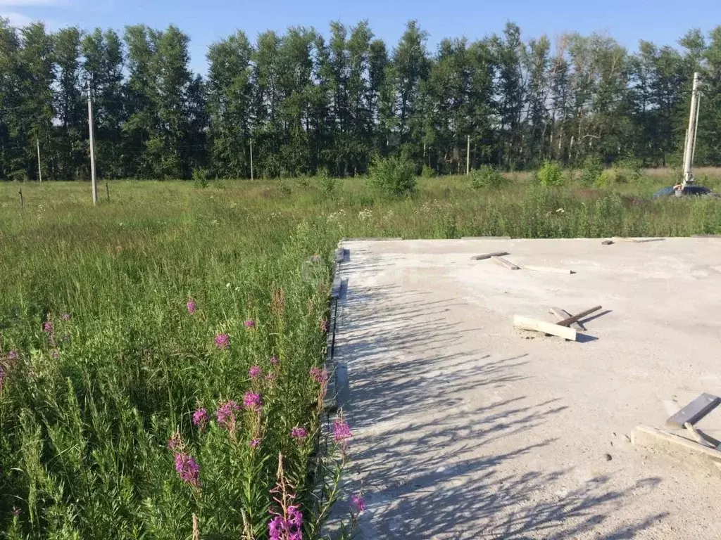 Участок в Московская область, Коломна городской округ, с. Никульское ... - Фото 0