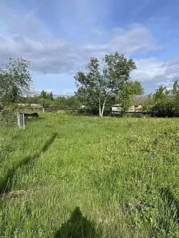 Участок в Новгородская область, Шимск рп ул. Шелонская (11.0 сот.) - Фото 2