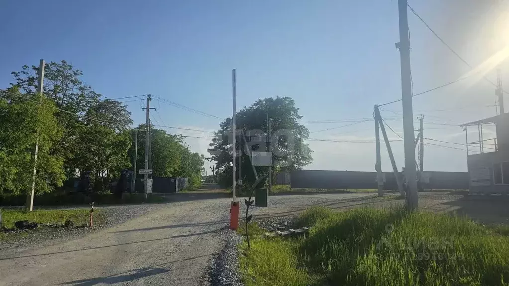 Участок в Приморский край, Надеждинский район, Аргус СНТ ул. 9-я ... - Фото 2