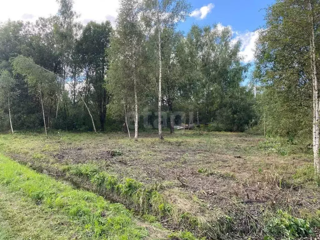 Участок в Московская область, городской округ Клин, СНТ Борщево, 12 (8 ... - Фото 1