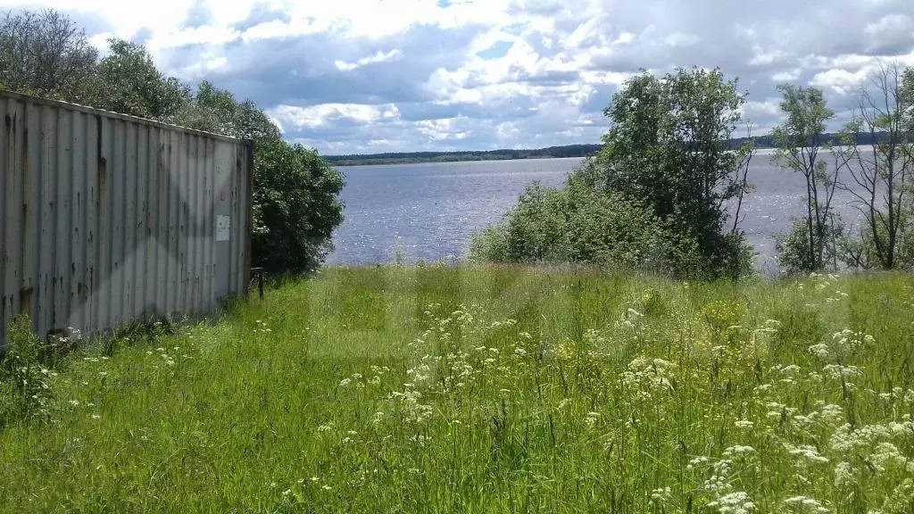 Дом В Селижаровском Районе Тверской Области Купить