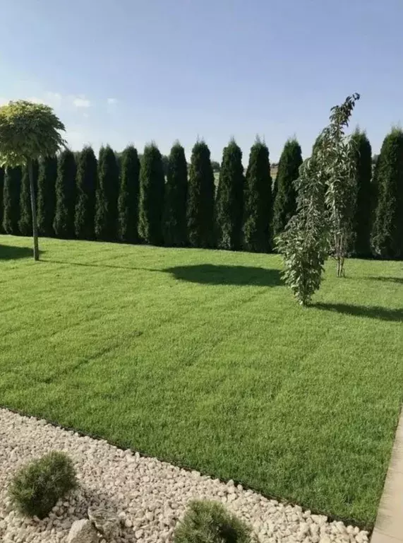 Участок в Краснодарский край, Ейск Лазурная ул. (4.0 сот.) - Фото 1