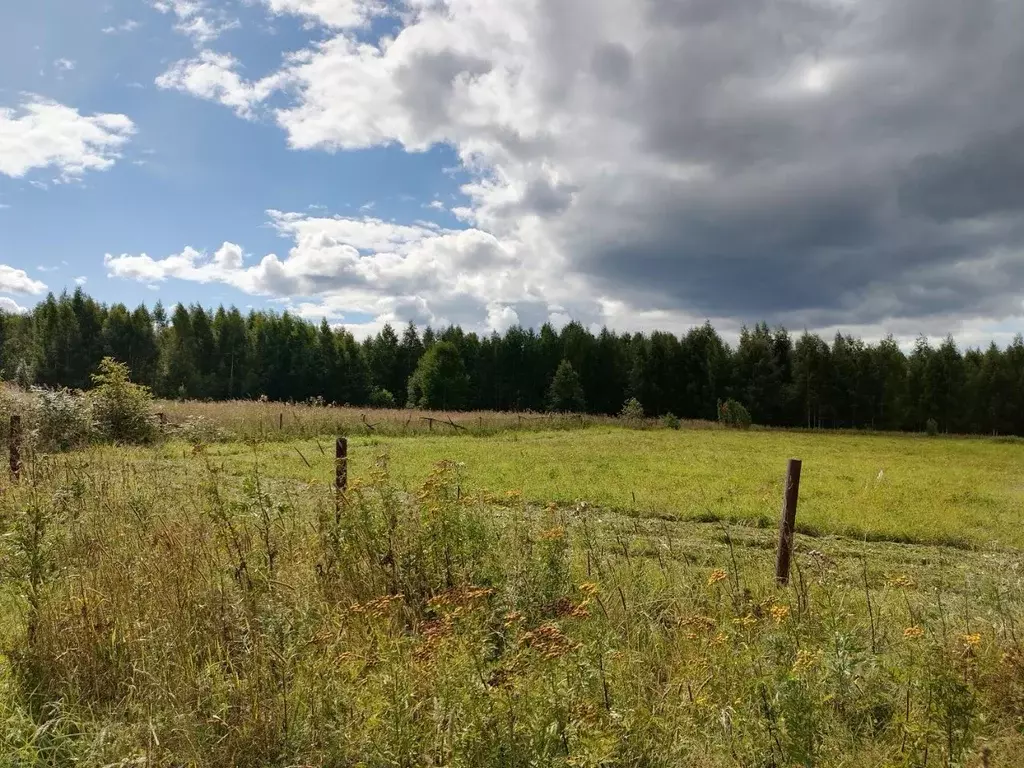 Участок в Вологодская область, Череповецкий район, д. Нагавицыно  ... - Фото 1
