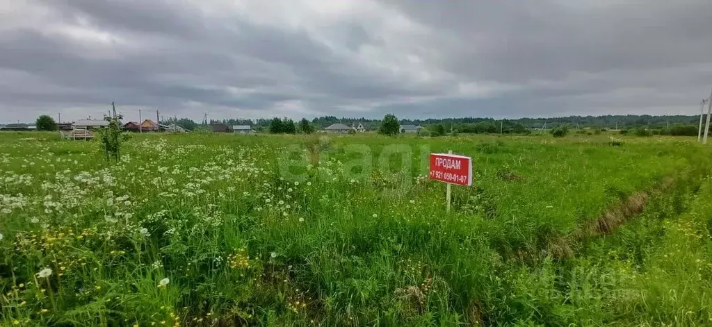 Участок в Вологодская область, Шекснинский муниципальный округ, д. ... - Фото 0