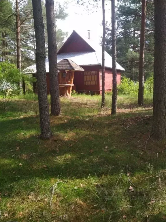Дом в Вологодская область, Устюженский район, д. Горка (сельское ... - Фото 2