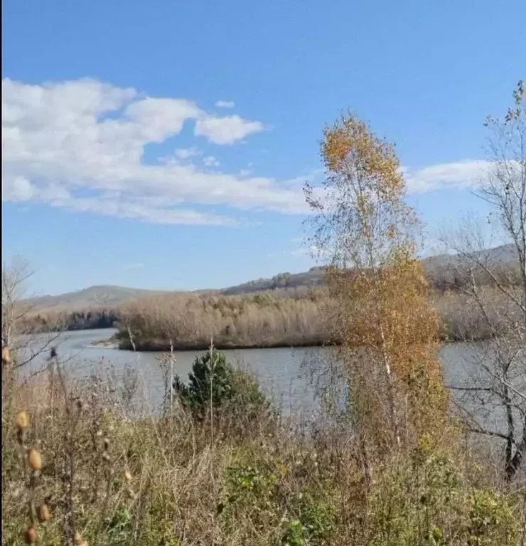 Участок в Алтай, Майминский район, с. Подгорное  (10.0 сот.) - Фото 1