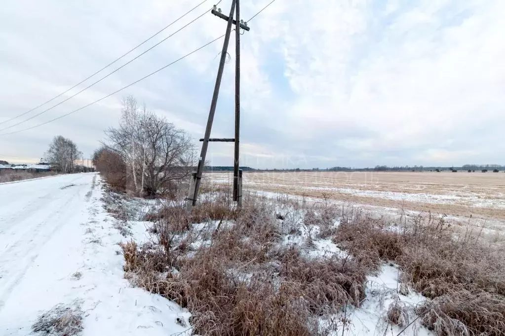 Участок в Тюменская область, Тюменский район, с. Салаирка  (7.5 сот.) - Фото 0