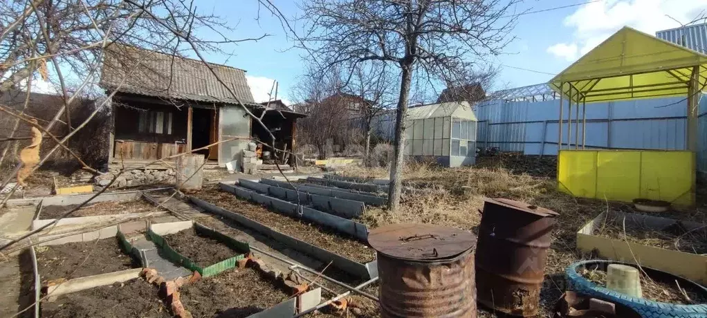 Участок в Челябинская область, Красноармейский район, Березовское ... - Фото 1