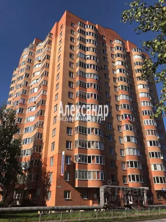 1-к кв. Ленинградская область, Всеволожск Александровская ул., 79к2 ... - Фото 1