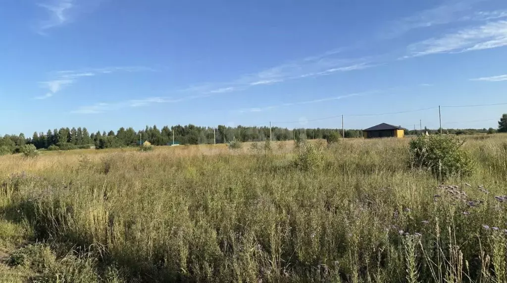 Участок в Костромская область, Кострома проезд Кружевной (8.9 сот.) - Фото 2