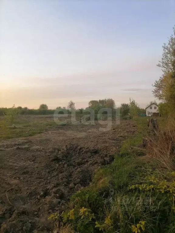 Участок в Калининградская область, Калининград Дружба-Девау СТ, ул. ... - Фото 0