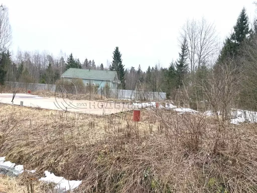 Участок в Выборг, улица Раппатила (12 м) - Фото 2