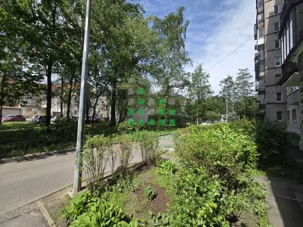 1-к кв. Санкт-Петербург ул. Верности, 10К4 (30.2 м) - Фото 2