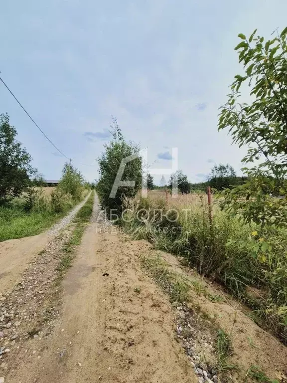 Участок в Московская область, Сергиево-Посадский городской округ, СНТ ... - Фото 1